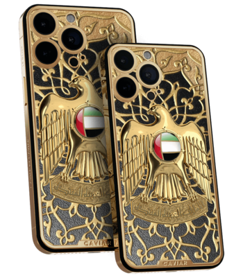 Custom  iPhone 13 Pro/Max Dubai Falcon