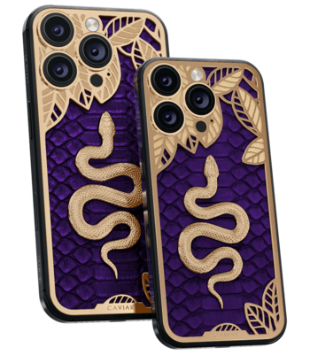 Custom iPhone 17 Pro/Pro Max Serpentine Dance