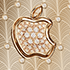 Golden apple Palmette 24K