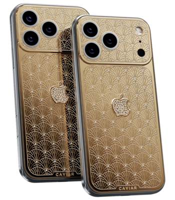 Custom iPhone 17 Pro/Pro Max Palmette 18K