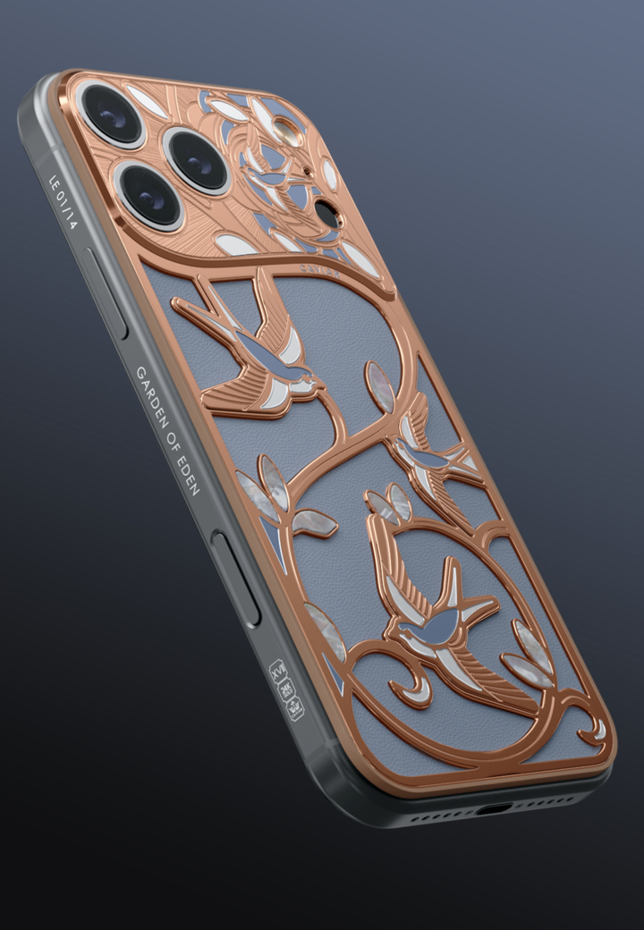 Swallows Wings of Love