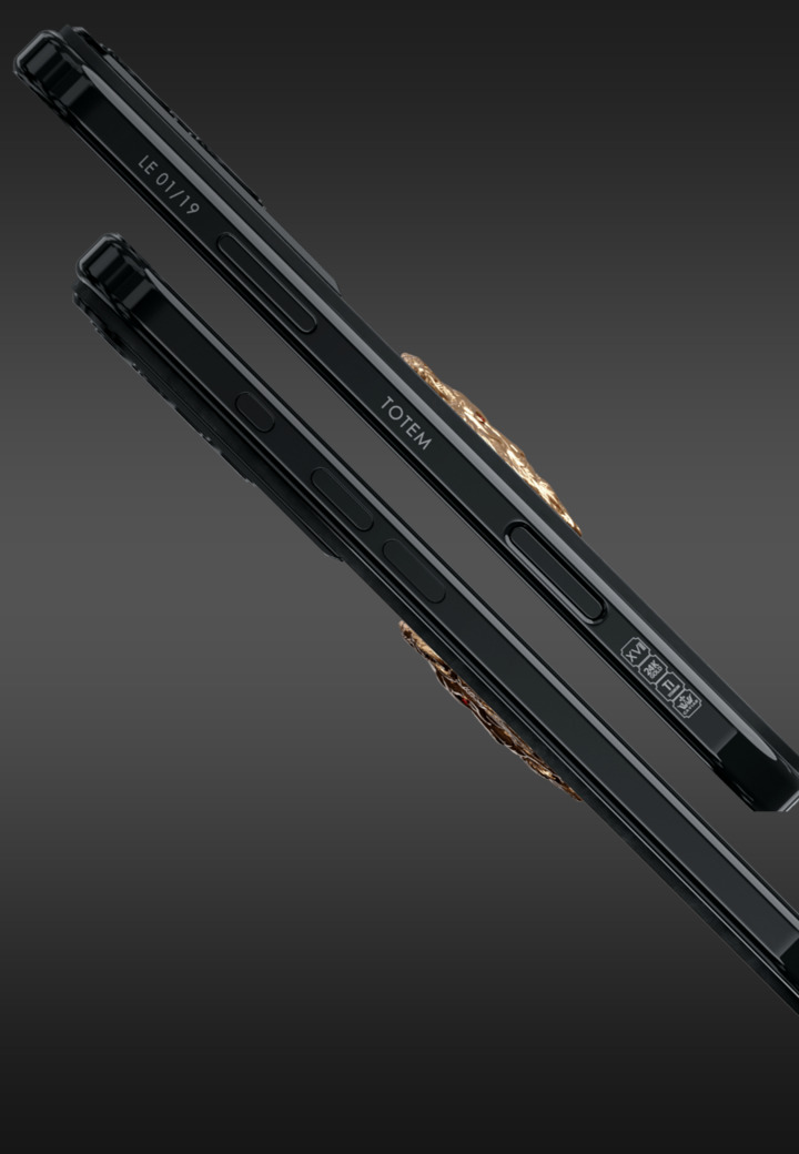 Limited Edition Aslan